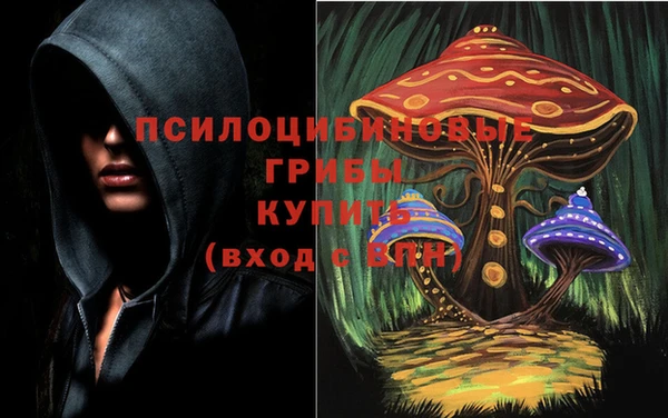 героин Карпинск