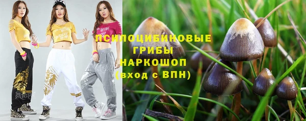 мяу мяу мука Карталы