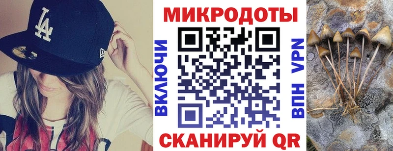 Галлюциногенные грибы прущие грибы  Купить закладки  Каменка 